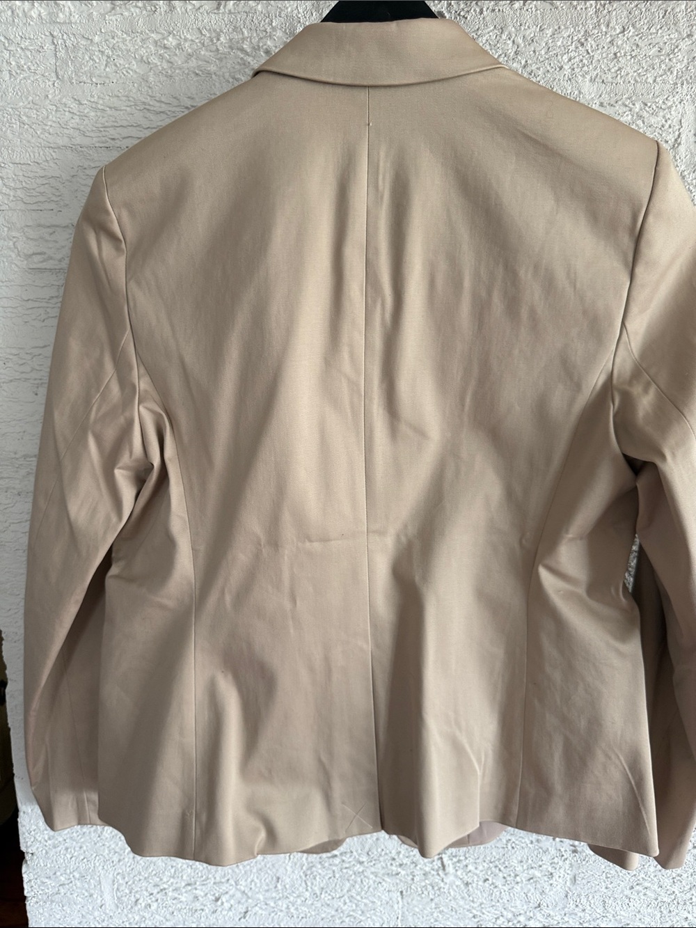 Ann Taylor Neutral Beige Women's Tailored Blazer and Pants - Picture 9 of 13
